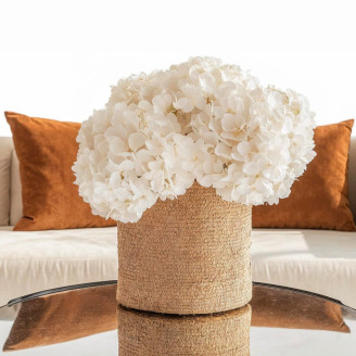 Hortensia preservada - Blanca