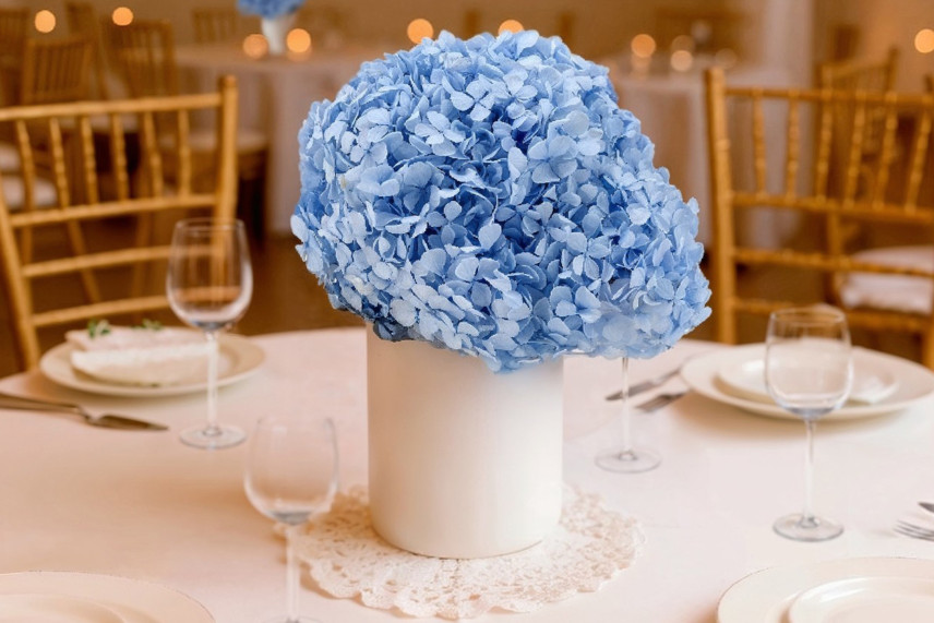 Konservierte Hortensie - Light Blue