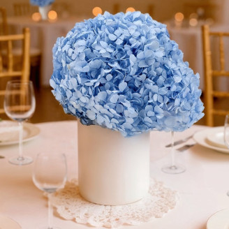 Konservierte Hortensie - Light Blue