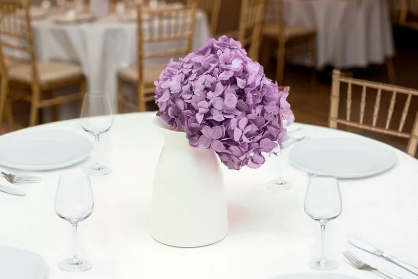 Preserved Hydrangea - Lavender