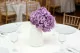 Hortensia stabilis&eacute; Lavande 1