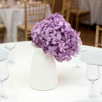 Stabilized Hydrangea - Lavender