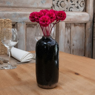 Scabiosa stellata preserved - 10 stems - Fuchsia