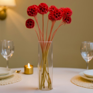 Scabiosa stellata stabilized - 10 stems - Red