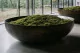 Preserved Hair Moss (Box) 2