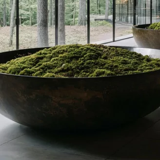 Hair Moss stabilizzato (Scatola)