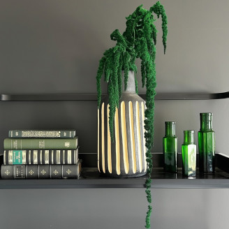 Amaranth Extra stabilisiert - Hellgrün