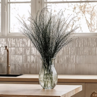 Asparagus Officinalis stabilisiert - Dunkelgr&uuml;n