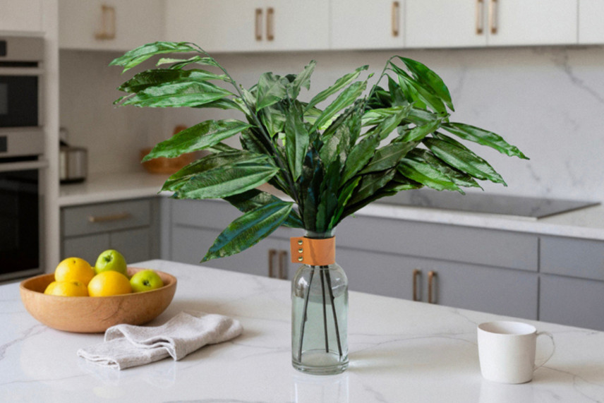 Cocculus stabilized - 5 Units - Green