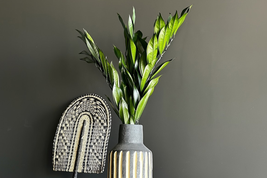 Preserved Cocculus - Bouquet - Green