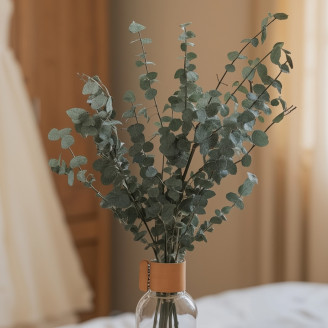 Eucalipto Baby-blue preservato - Verde