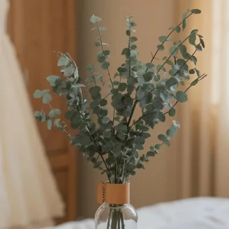 Eucalipto Baby-blue stabilizzato - Verde