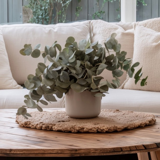 Eucalyptus Cinerea Stabilisé - Vert