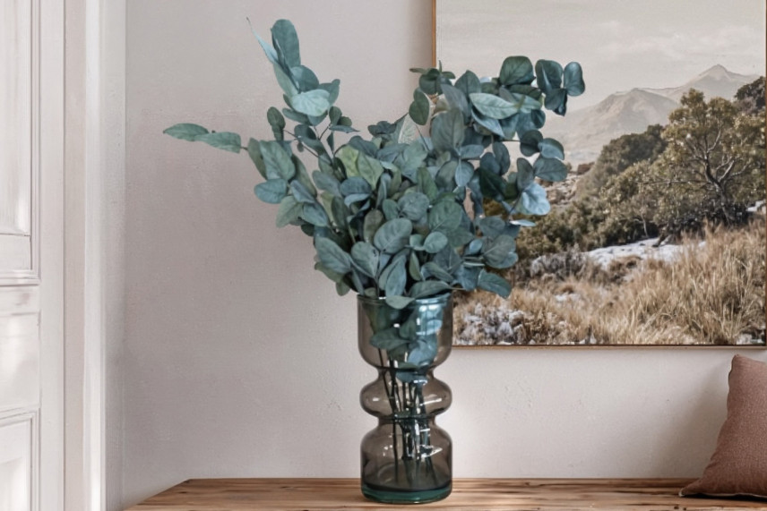 Eucalyptus Cinerea Preserved - Green-Blue