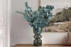 Preserved Cinerea Eucalyptus Green Blue 1