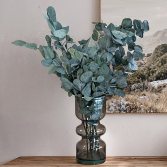 Konservierter Eukalyptus Cinerea - Gr&uuml;nblau