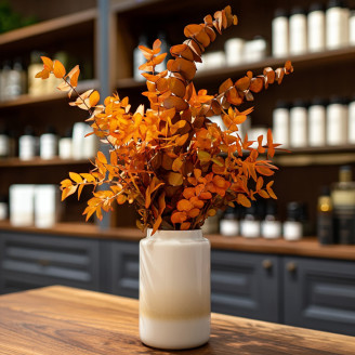 Eucalyptus Stuartiana Stabilized - Orange