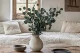 Eucalyptus Populus stabilis&eacute; 1
