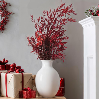 Eucalyptus Parvifolia Stabilized - Red