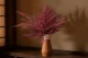 Preserved Leather Fern Red 1