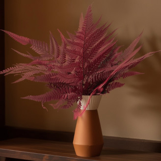 Leather Fern Preserved - Red
