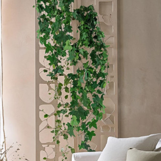 English Ivy Stabilized - Green