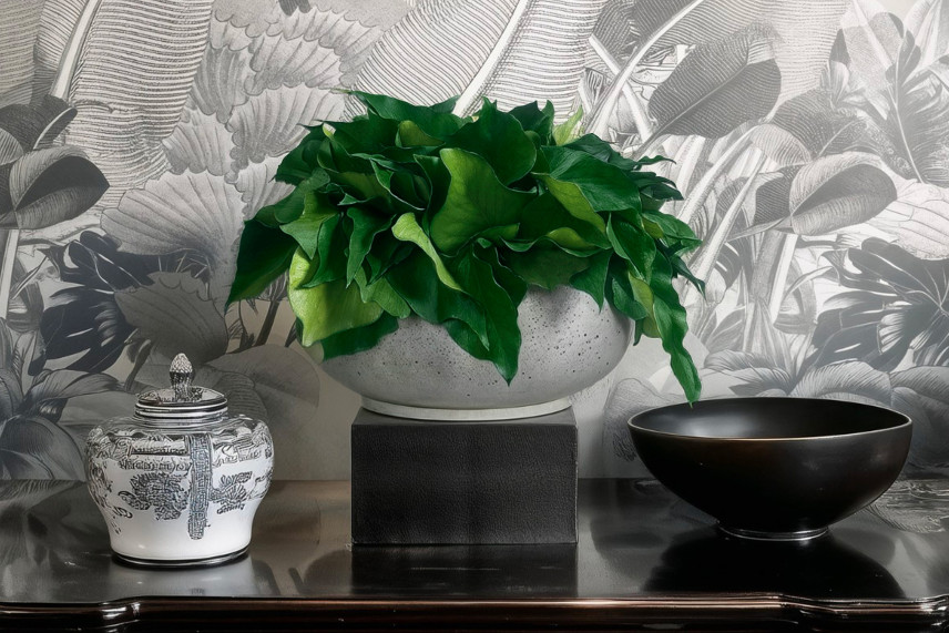 Ivy Stabilized - Green