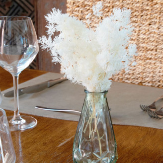Ming Fern Stabilized - White