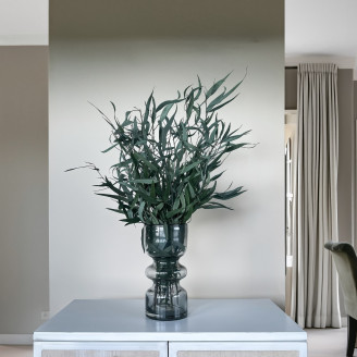 Eucalipto Willow stabilizzato - Verde