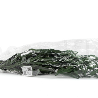Eucalipto Willow Preservado - Verde