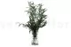 Preserved Willow Eucalyptus 5