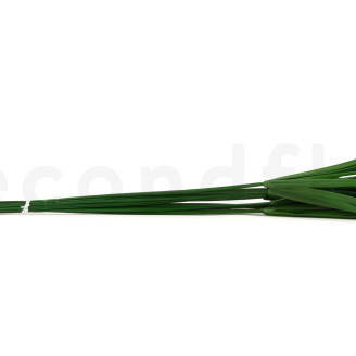 Papyrus stabilisé - Vert
