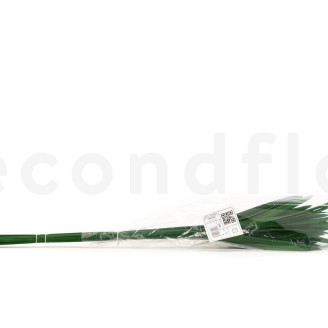 Papyrus stabilisé - Vert