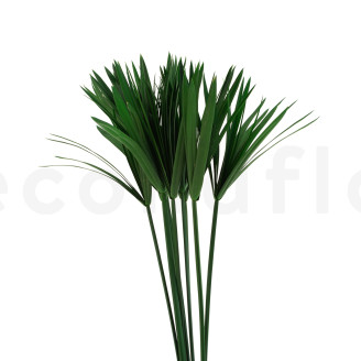 Papyrus stabilisé - Vert