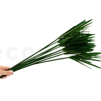 Papyrus stabilisé - Vert