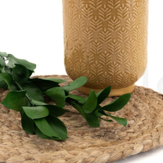 Ruscus Stabilisé - 6 Unités - Vert