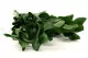 Rusco stabilizzato Verde (x6) 9