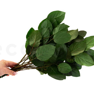 Salal Preservato - Verde