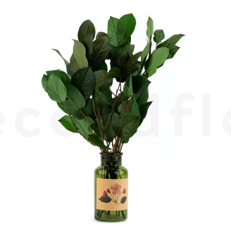 Salal Stabilized - Green