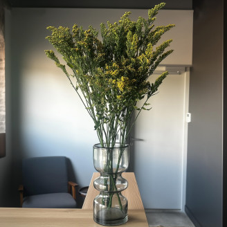 Preserved Solidago - Bouquet - Green