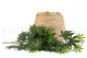 Cannabis artificiale 5
