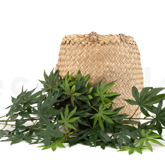 Künstlicher Cannabiszweig - Grün