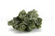 Eucalyptus artificiel 5