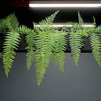 Helecho Boston Artificial - Verde