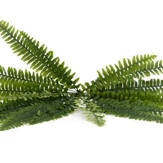 Artificial Boston Fern - Green