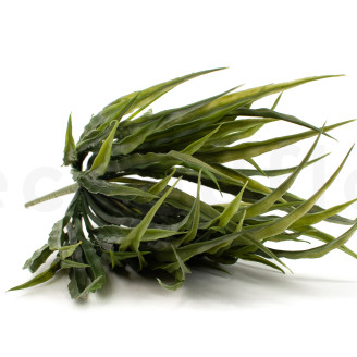 Herbe Artificielle - Vert