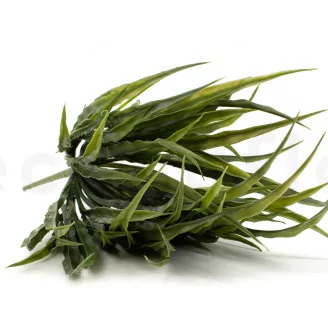 K&uuml;nstliches Gras