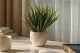 Artificial Grass 1