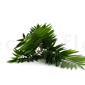Künstliche Chamaedorea-Palme - Grün