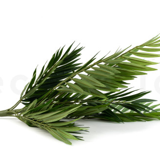 Künstliche Chamaedorea-Palme - Grün